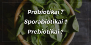 Jūsų žarnyno žodynas: probiotikai, sporabiotikai ir prebiotikai